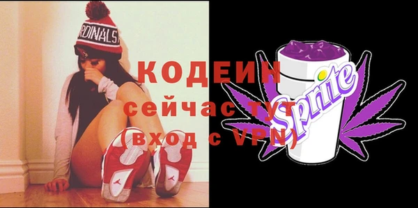 дмт Лиски