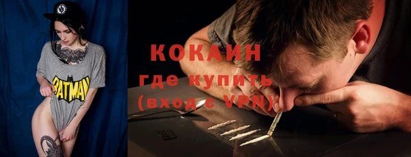 дмт Лиски
