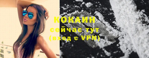 дмт Лиски