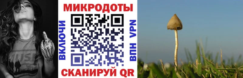 Галлюциногенные грибы ЛСД  blacksprut ONION  Мегион  магазин  наркотиков 