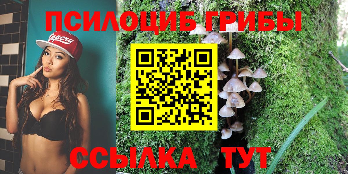 Мегион  Псилоцибиновые грибы прущие грибы  Вход с VPN 